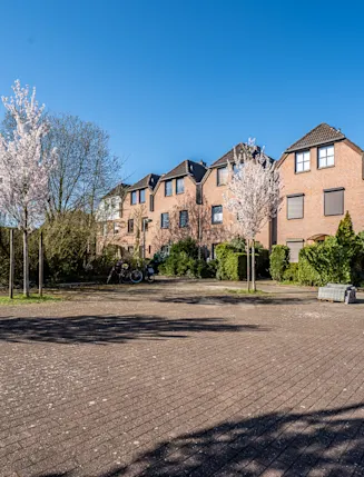 Mehrere Reihenhäuser aus Backstein mit blühenden Bäumen und gepflastertem Vorplatz.