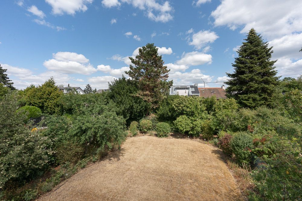 Garten mit trockenem Rasen, umgeben von Büschen und Bäumen unter blauem Himmel.