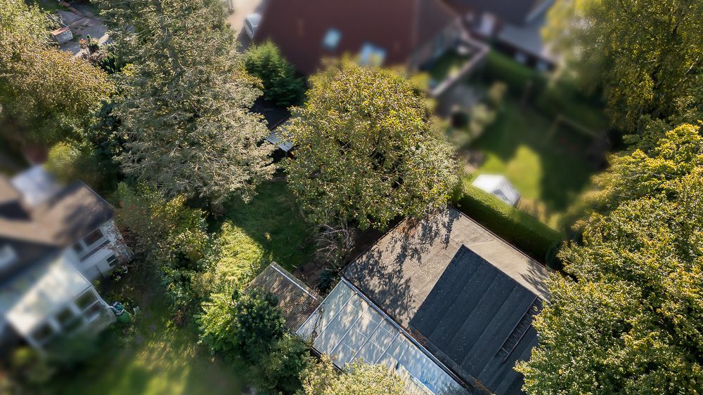 Luftaufnahme eines Gartens mit Bäumen, Terrasse und angrenzendem Wohnhaus.