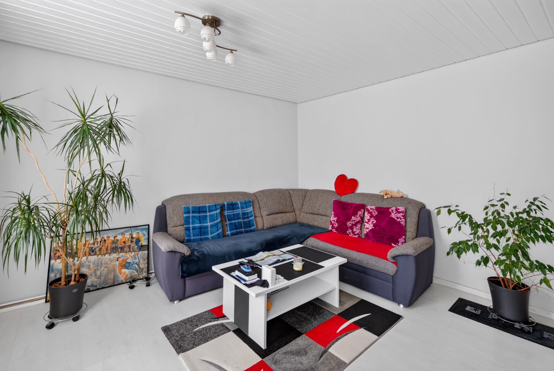 Wohnzimmer mit Ecksofa, Couchtisch, Teppich und zwei Zimmerpflanzen.