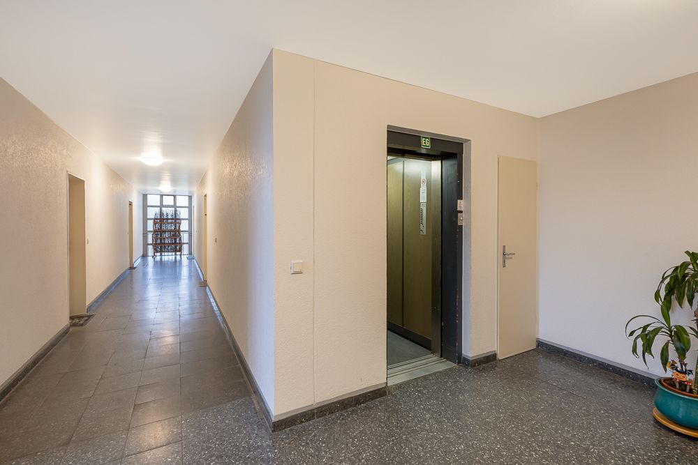 Heller Flur mit offenem Aufzug, mehreren Türen und einer Pflanze im Topf.