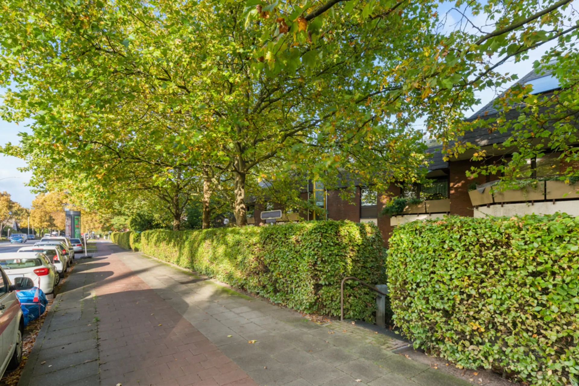 Baumreiche Straße mit parkenden Autos, Gehweg und Wohnhäusern hinter grünen Hecken.