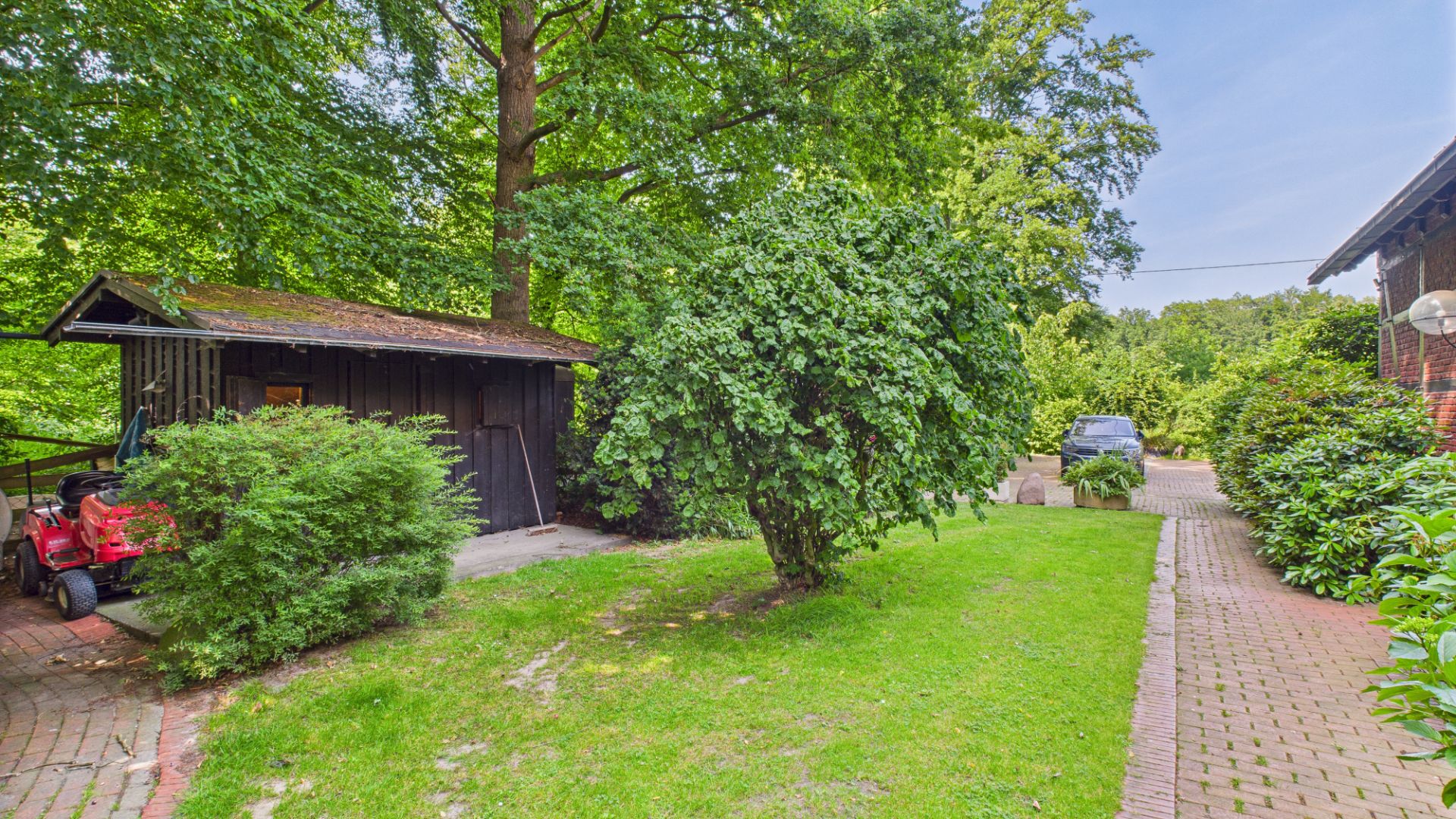 Grüner Garten mit Rasen, Bäumen, einem Holzschuppen und gepflastertem Weg.