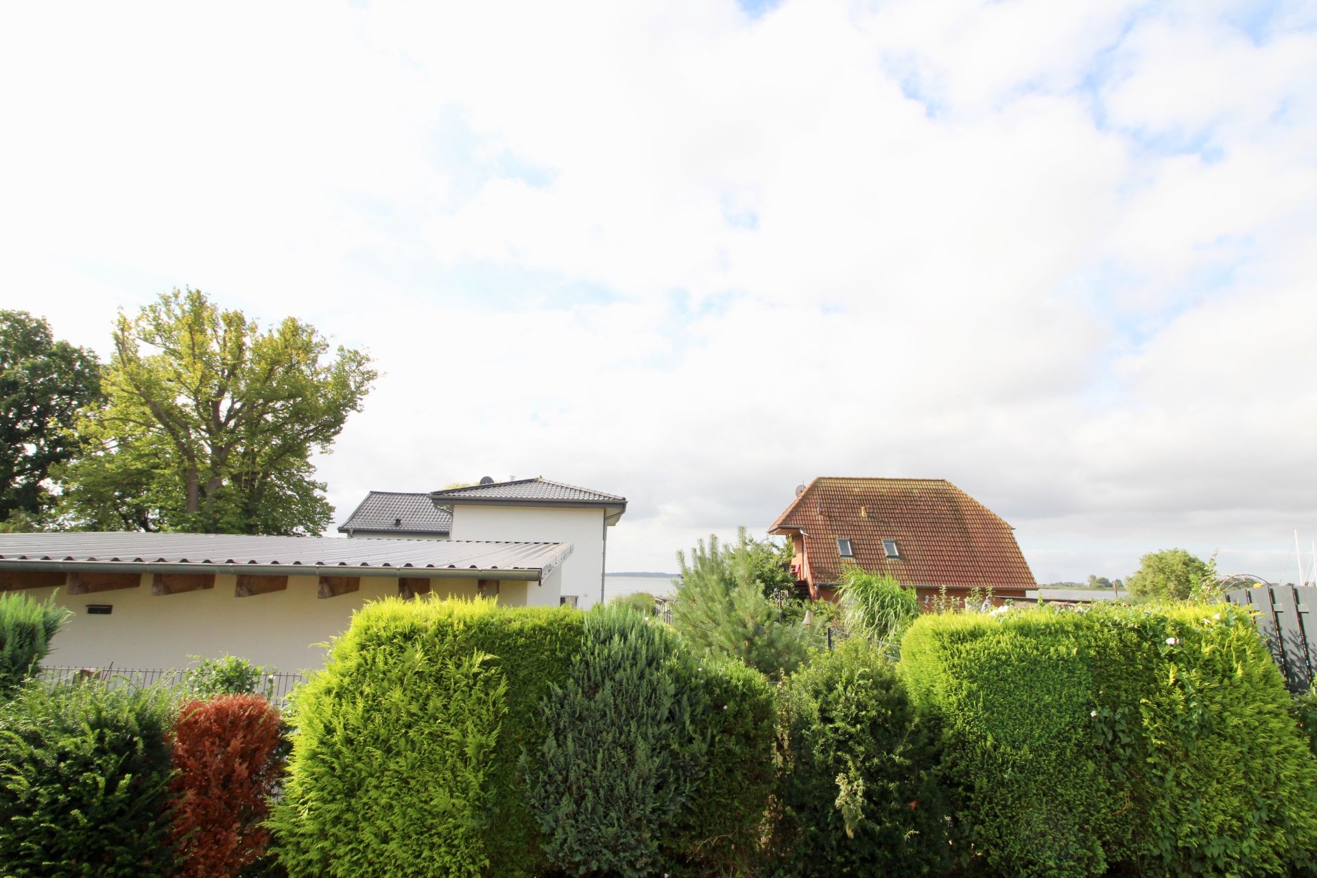 Zwei Häuser im Hintergrund, vorne eine dichte grüne Hecke und einige Bäume.