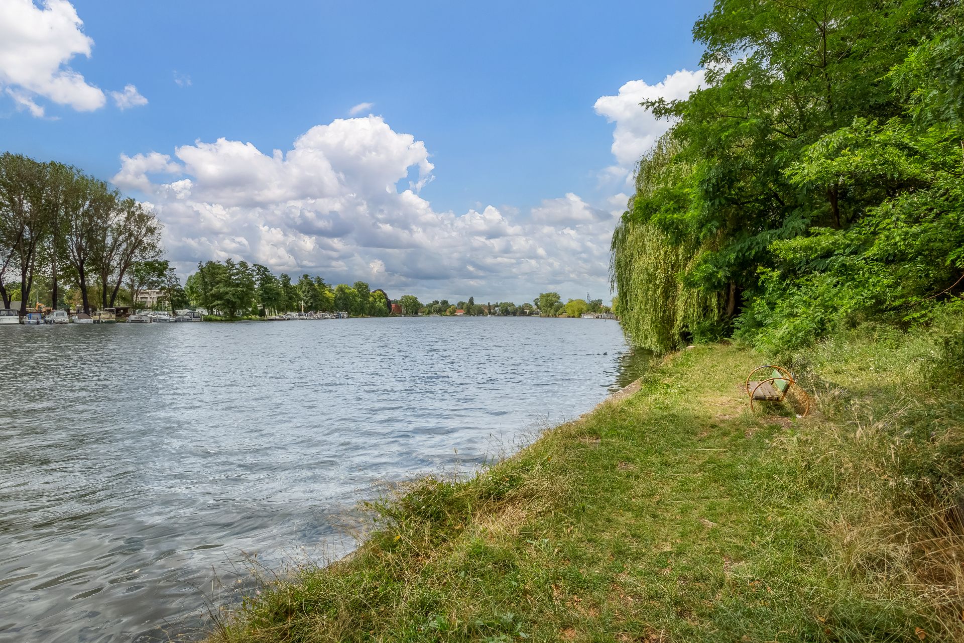 Ein Flussufer mit grünem Gras und Bäumen am Rand unter blauem Himmel mit Wolken.