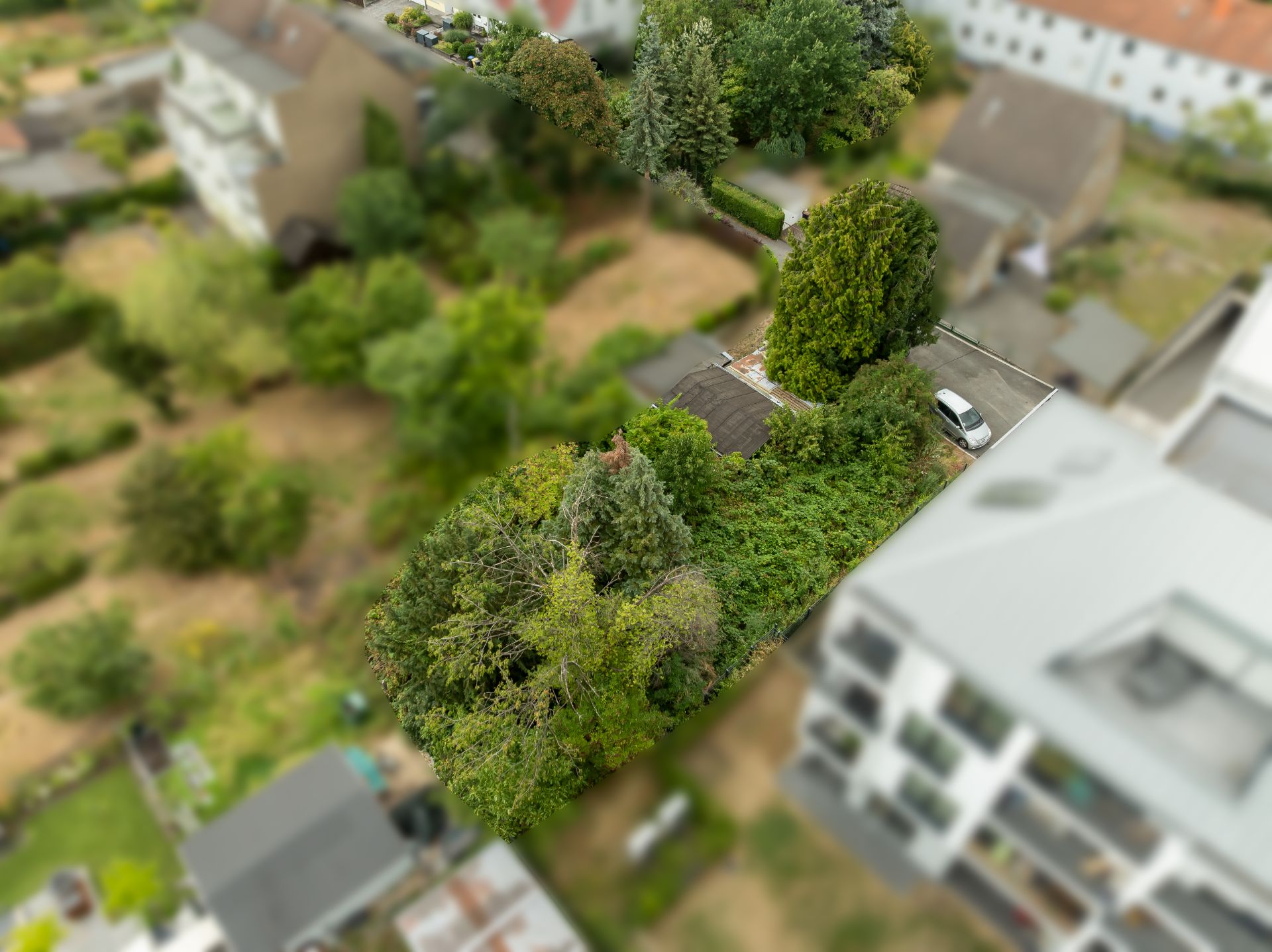 Luftaufnahme eines grünen Gartengrundstücks mit Bäumen und einem geparkten Auto auf einer Einfahrt.