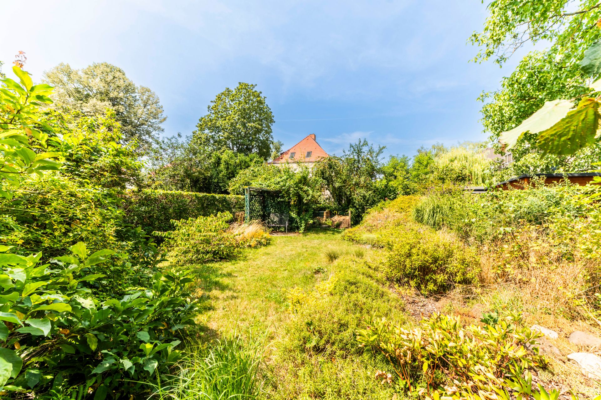 Grüner Garten mit Sträuchern, Bäumen und Blick auf ein Haus im Hintergrund.
