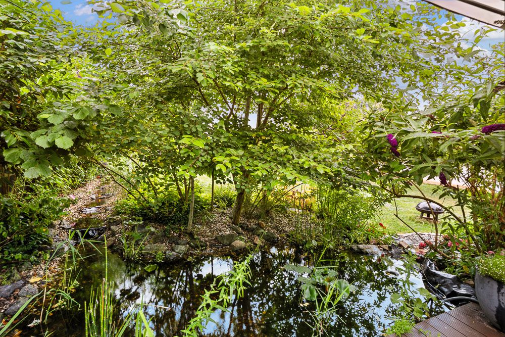 Garten mit kleinem Teich, üppigen grünen Pflanzen und Bäumen im Vordergrund.