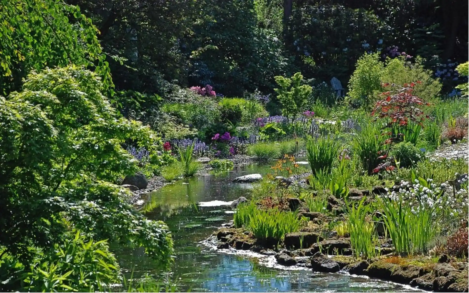 Garten mit kleinem Teich, vielen bunten Blumen und üppigem Grün.
