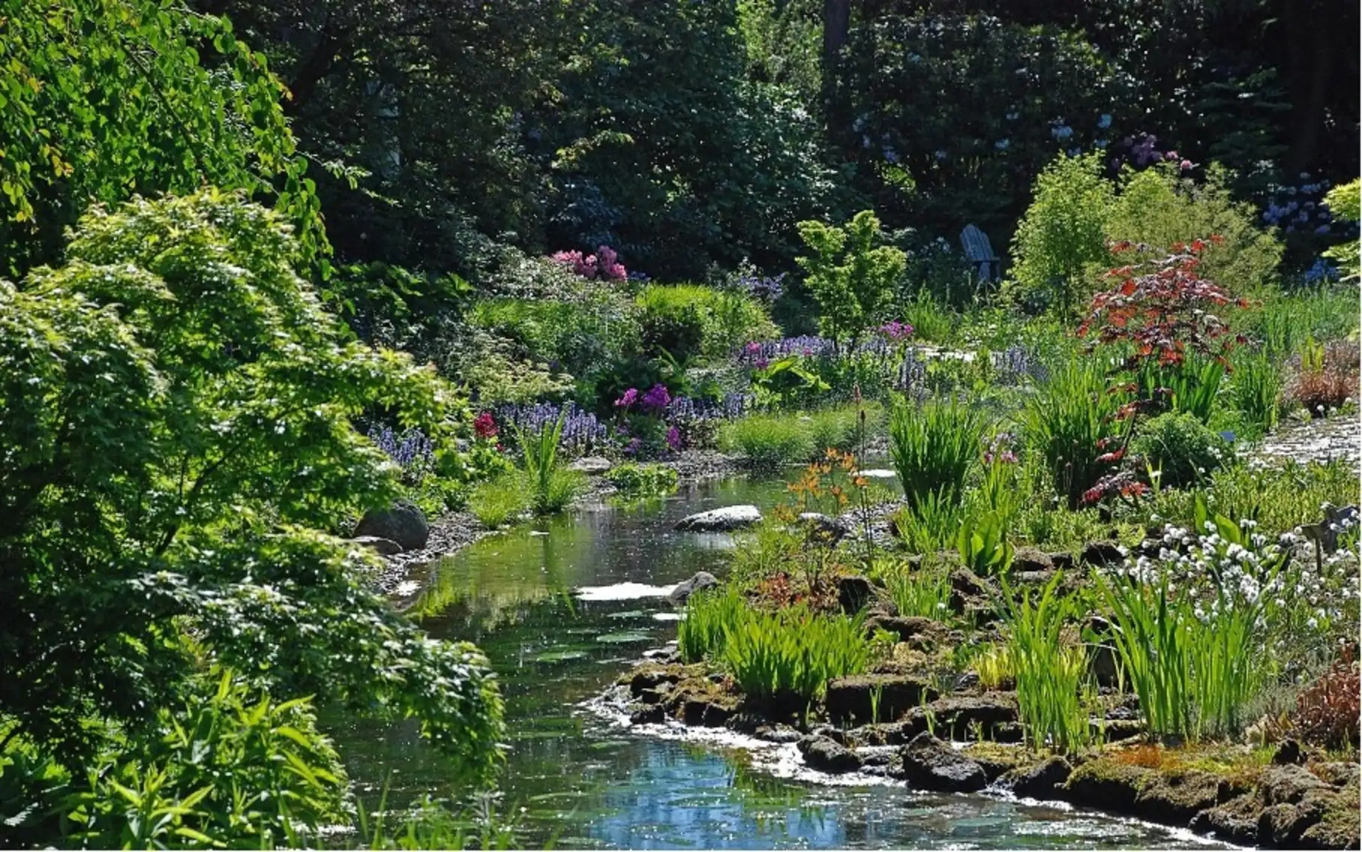 Garten mit kleinem Teich, vielen bunten Blumen und üppigem Grün.