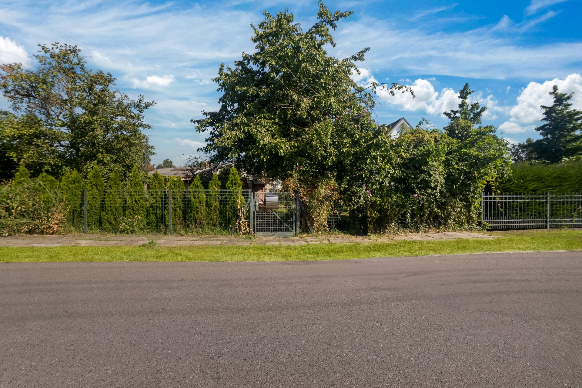 Vorgarten mit Zaun und Tor, dicht bewachsen mit Büschen und Bäumen an einer Straße.