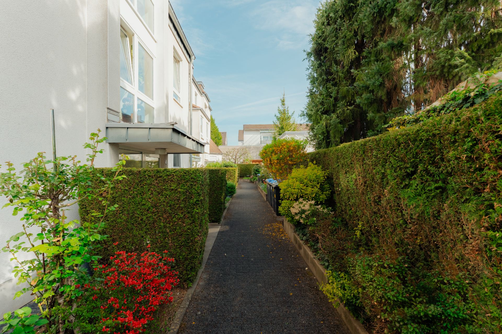 Schmaler Gehweg zwischen Wohngebäude und grüner Hecke, mit Pflanzen und Bäumen am Rand.