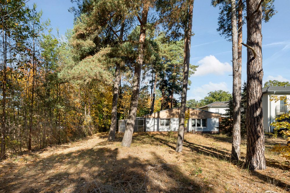 Haus mit Flachdach im Wald, mehrere hohe Bäume stehen im Vordergrund.