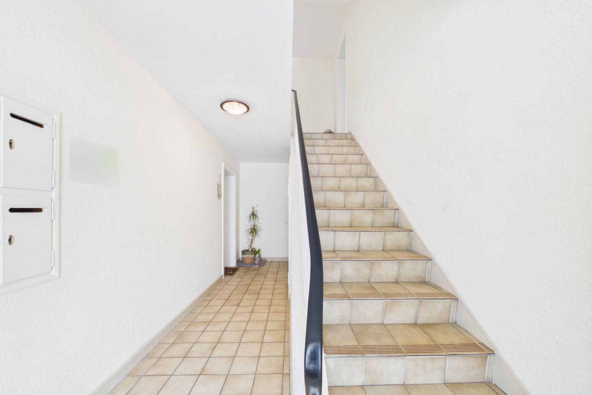 Heller Flur mit Treppe, Briefkästen an der Wand und einer Pflanze am Ende des Gangs.