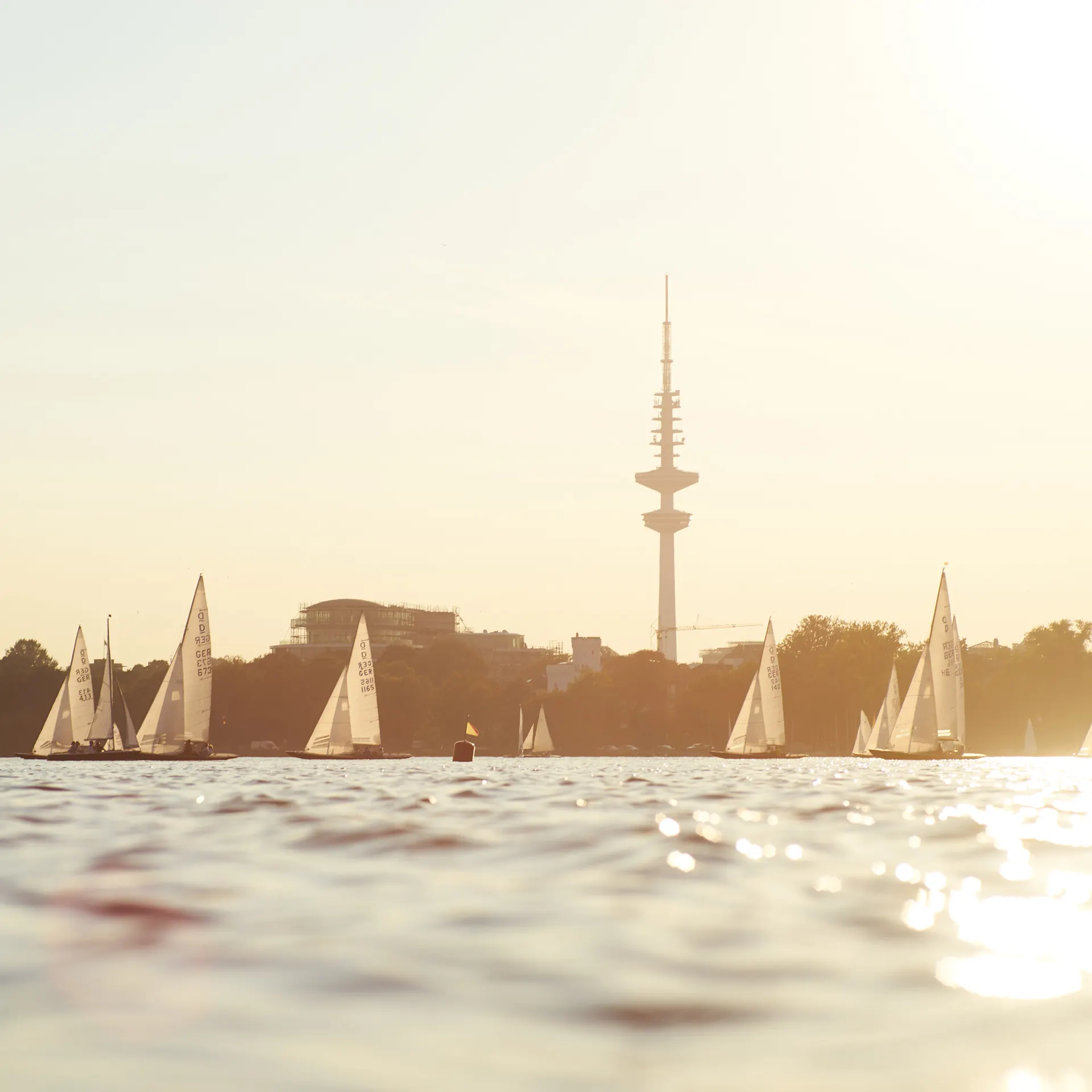 Mehrere Segelboote auf einem See mit Fernsehturm und Gebäuden im Hintergrund bei Sonnenlicht.