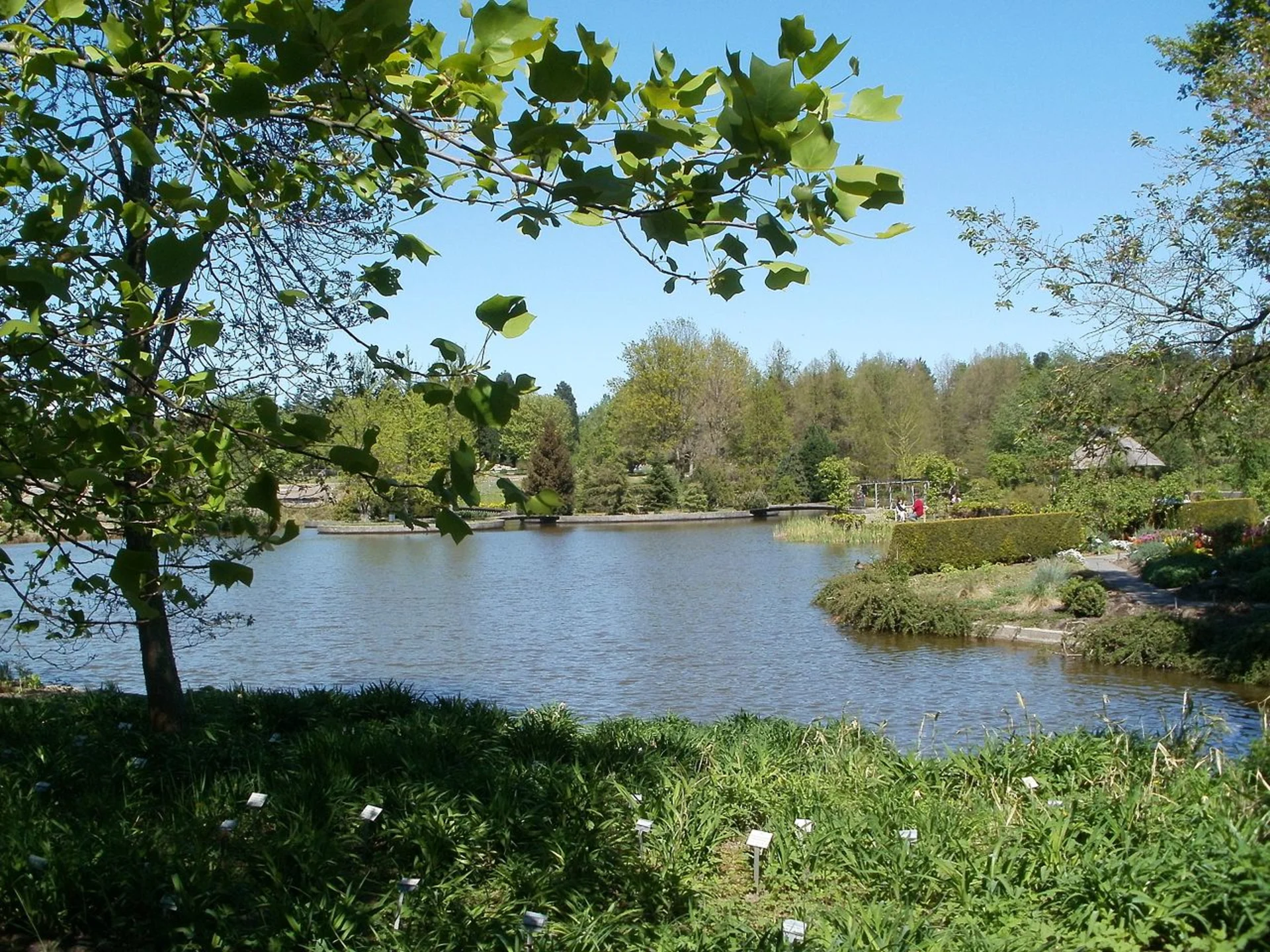 Hamburg Osdorf Botanischer Garten, Source: Wikimedia Creative Commons CC0