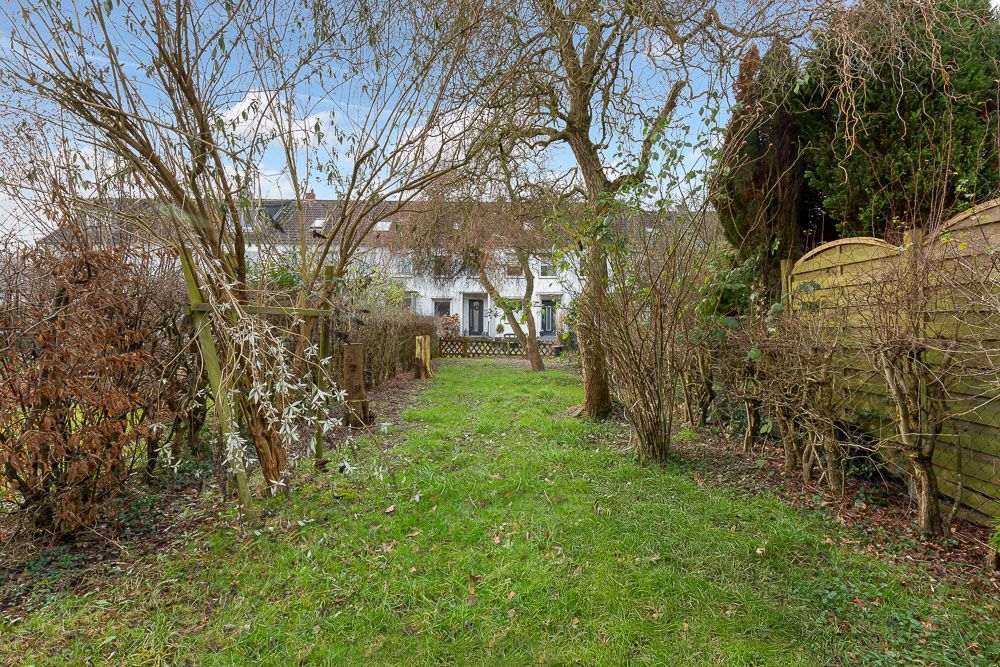 Garten mit Rasen, Bäumen und Sträuchern, im Hintergrund ein weißes Wohnhaus.