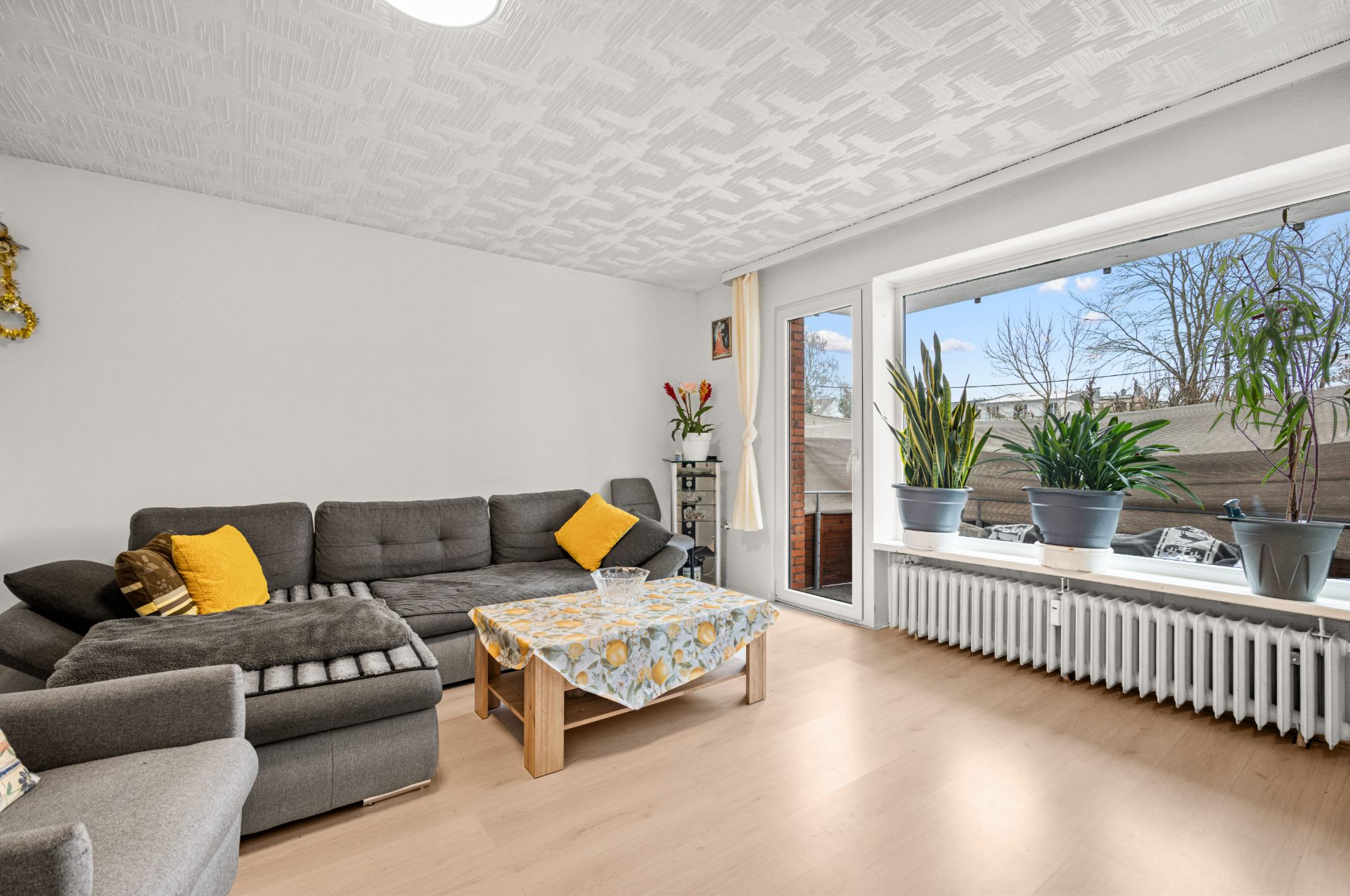 Helles Wohnzimmer mit grauem Sofa, Couchtisch und großen Fenstern mit Pflanzen auf der Fensterbank.