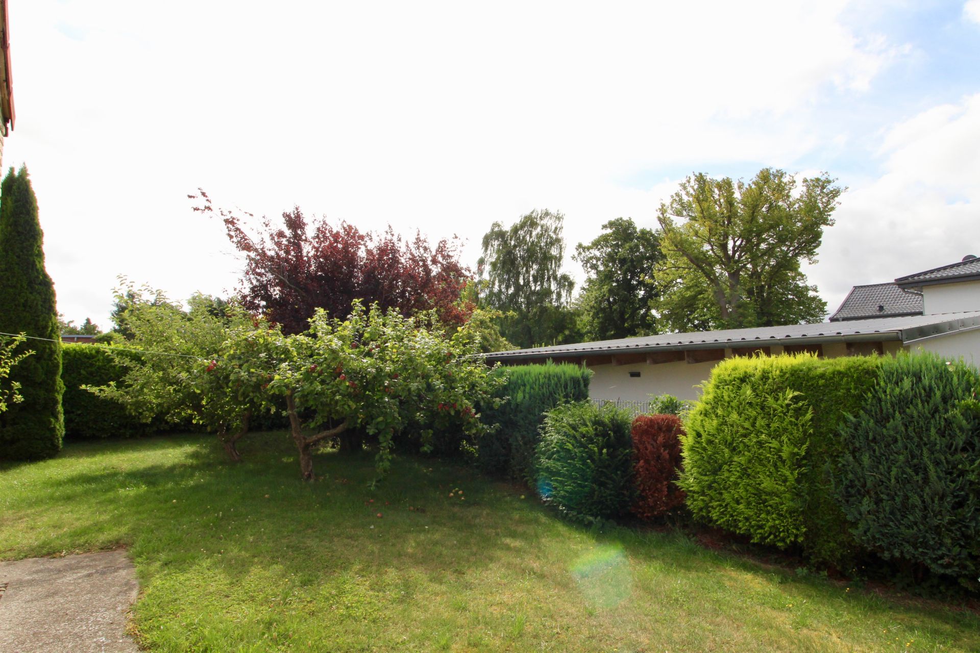 Garten mit Rasen, Sträuchern und kleinen Bäumen neben einem weißen Gebäude.