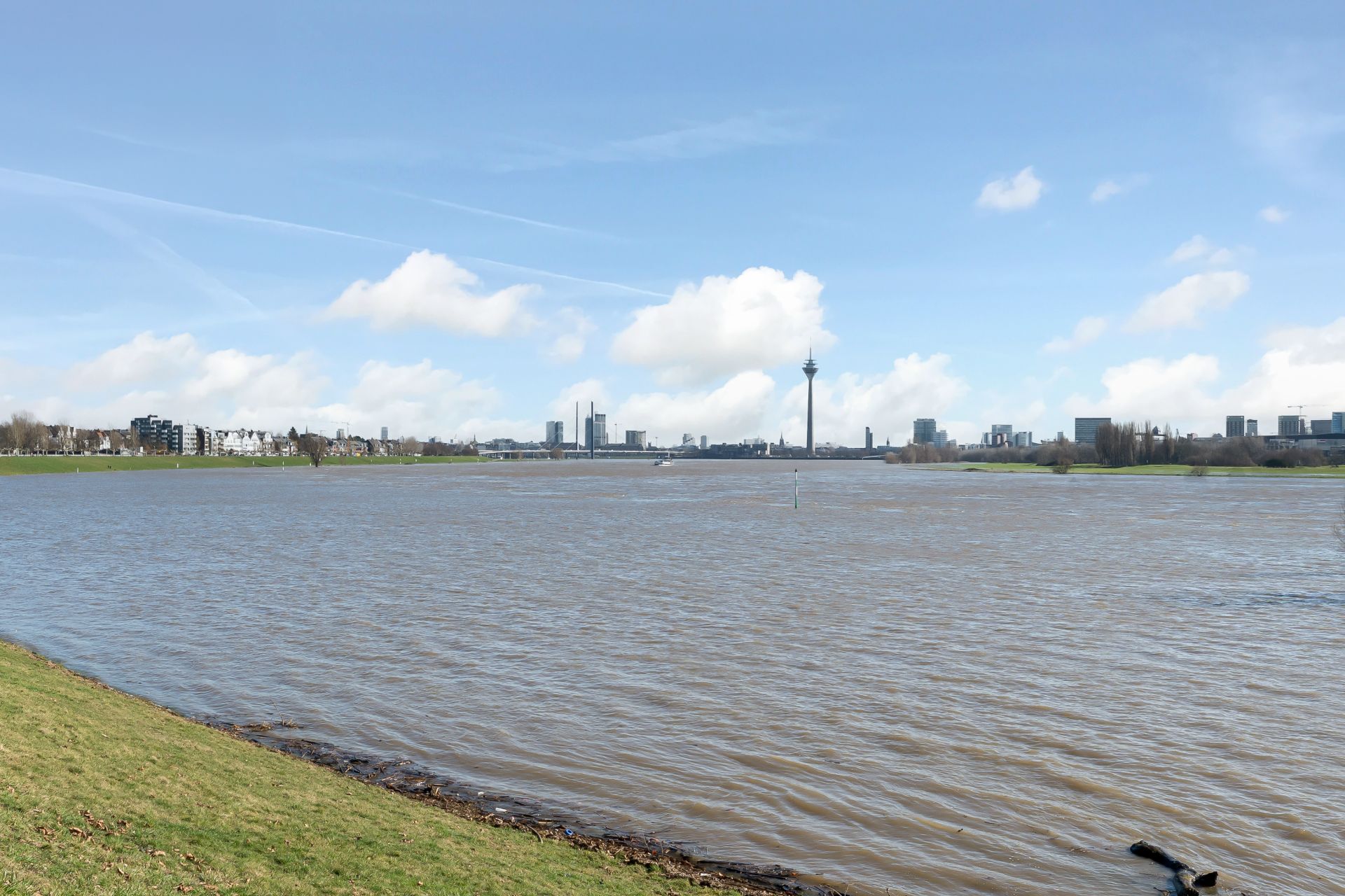 Blick über einen breiten Fluss mit Wiese im Vordergrund und Skyline im Hintergrund.