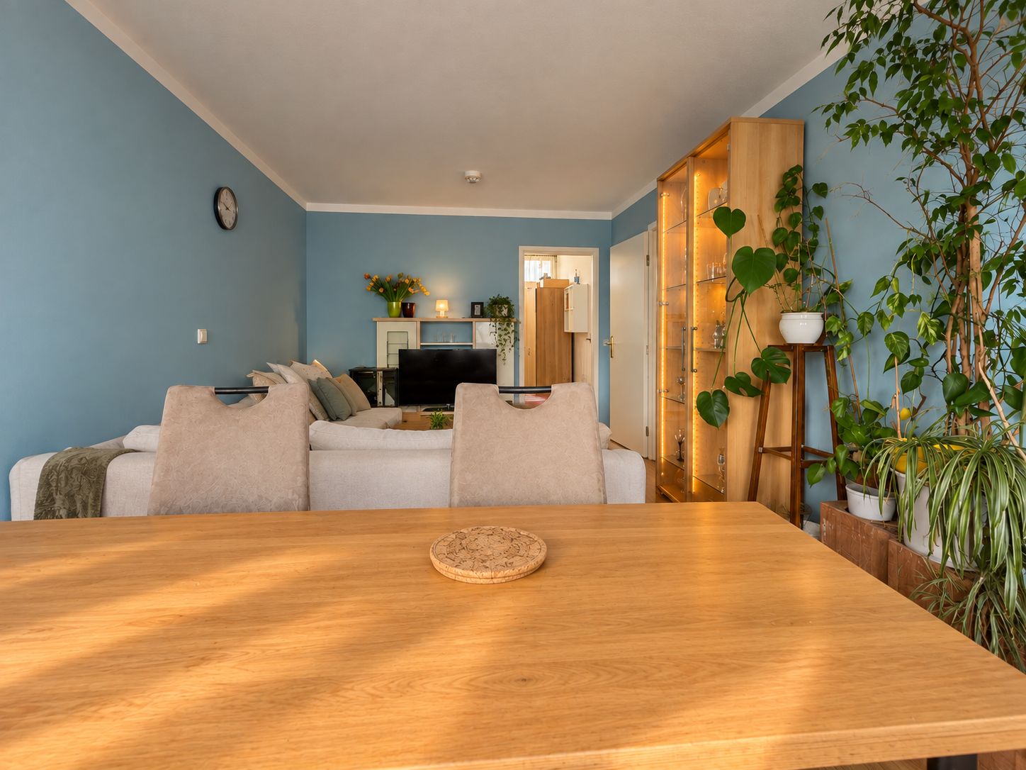Wohnzimmer mit Holztisch, Sofa, Regal, vielen Pflanzen und blauen Wänden.