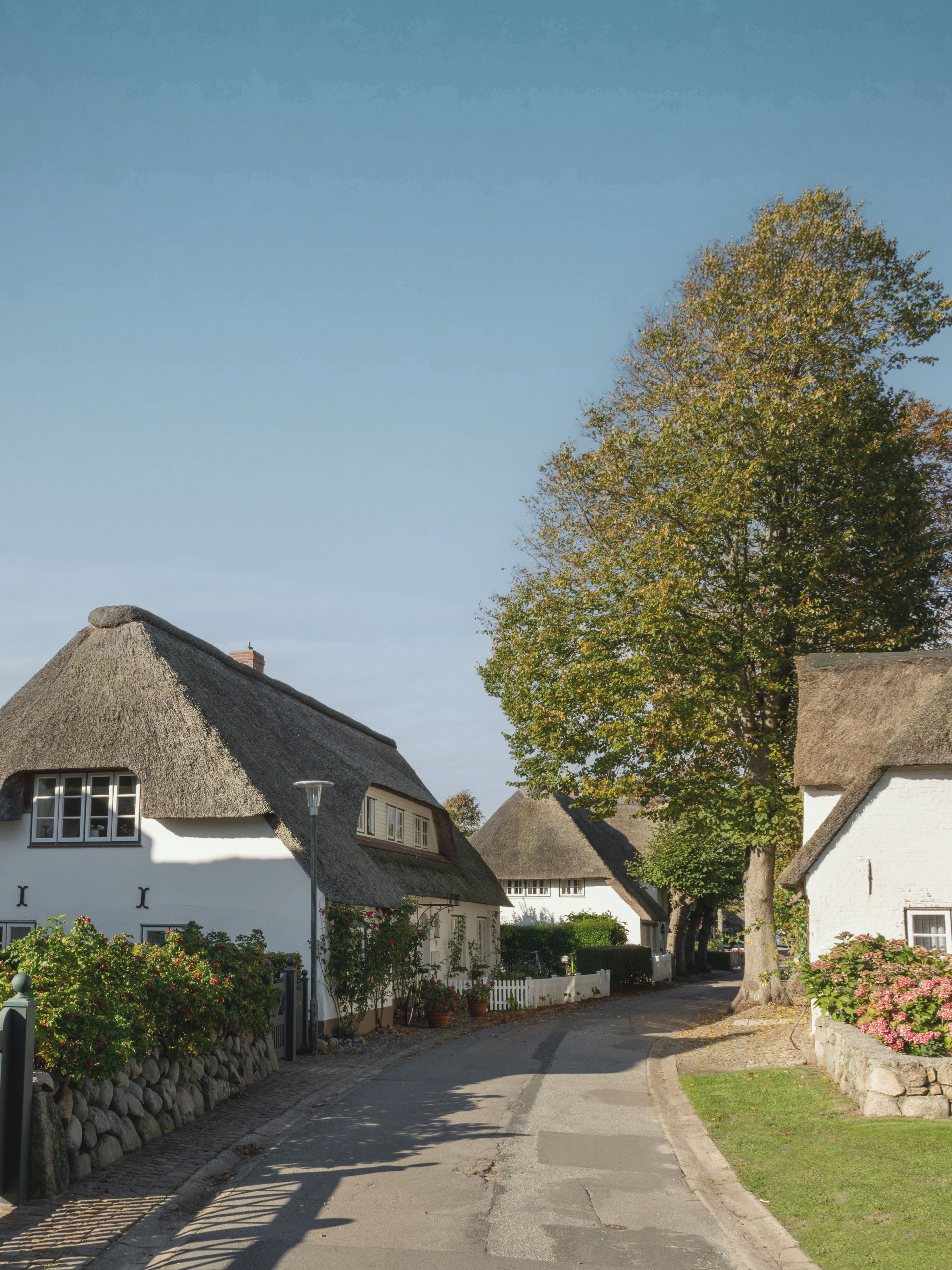 Straße mit Reetdachhäusern, Bäumen und Blumen bei klarem Himmel.