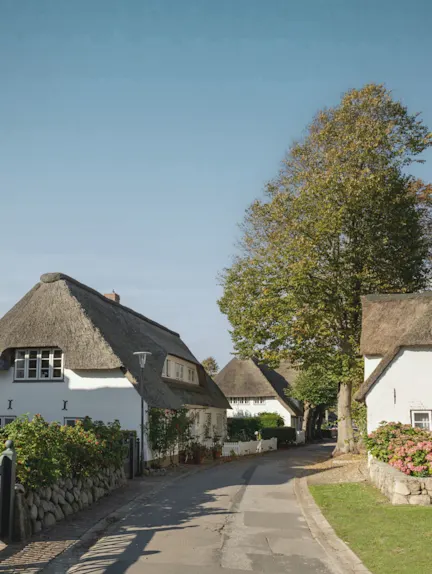 Straße mit Reetdachhäusern, Bäumen und Blumen bei klarem Himmel.