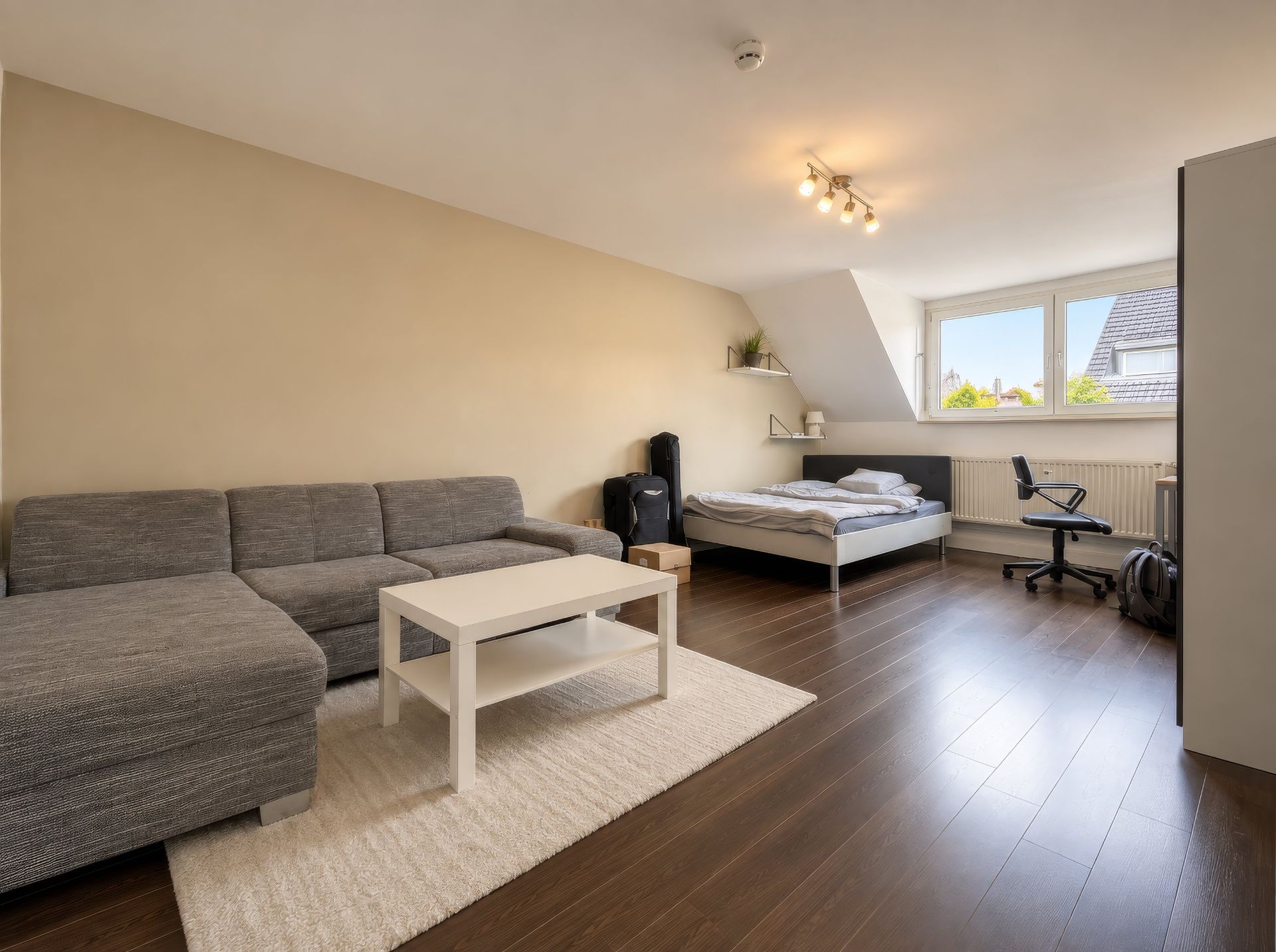 Modernes Wohnzimmer mit grauem Sofa, Couchtisch, Bett und Schreibtisch unter einem Fenster.