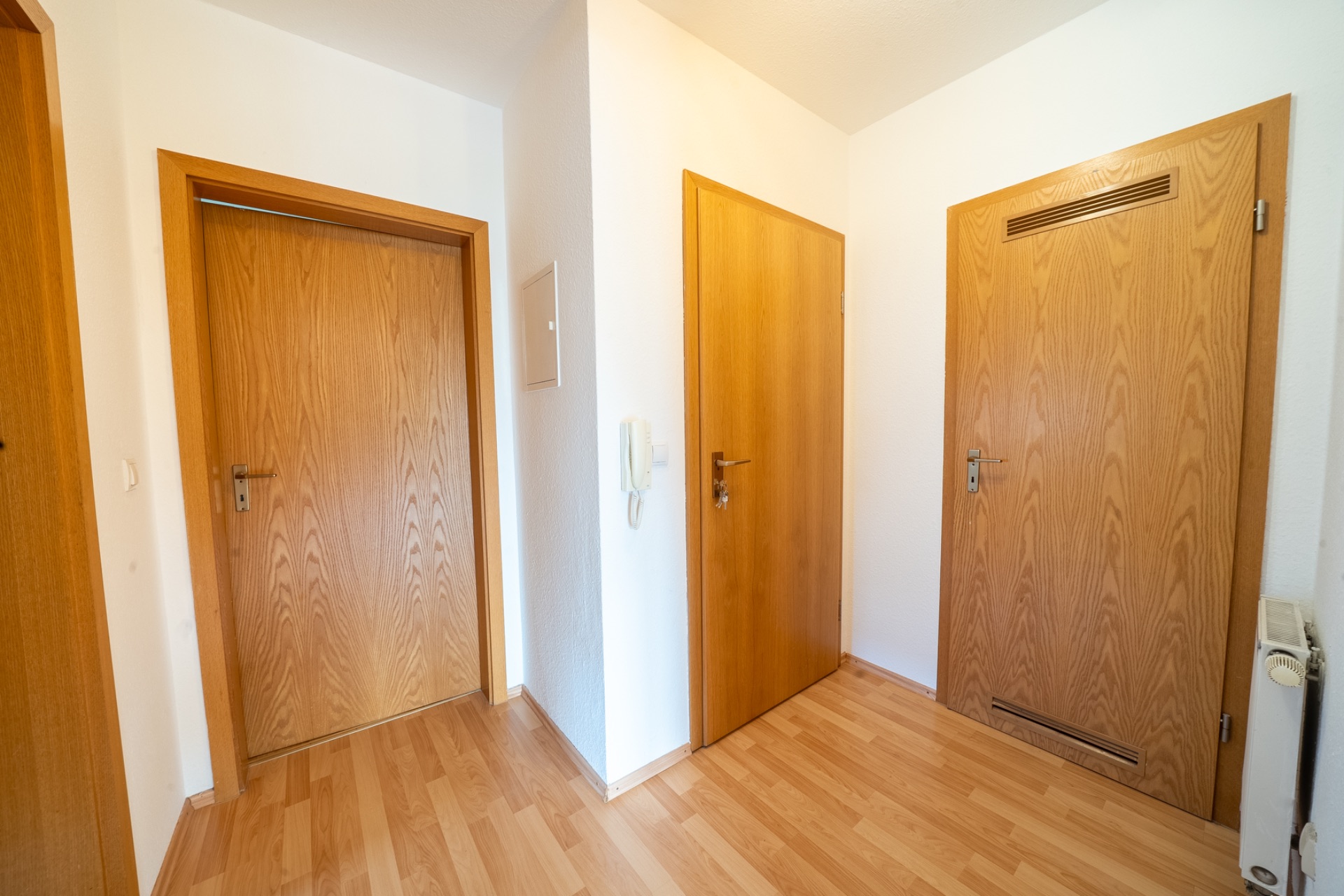 Flur mit drei Holztüren und hellem Laminatboden.