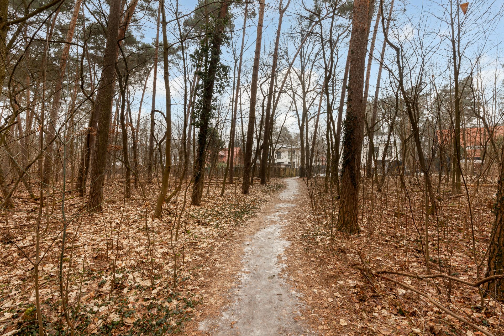 Schmaler Weg führt durch einen herbstlichen Wald, im Hintergrund sind Wohnhäuser sichtbar.