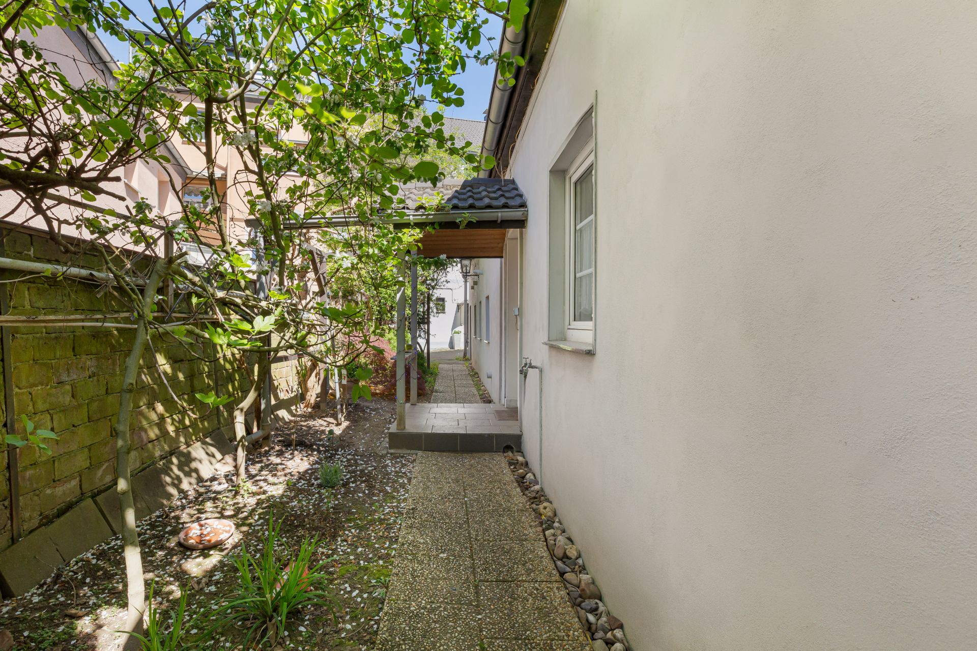 Schmaler Gartenweg mit Steinen und Pflanzen neben einem hellen Wohnhaus.