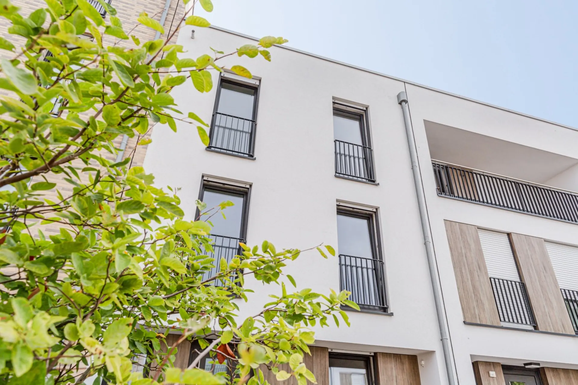 Fassade eines modernen Wohngebäudes mit großen Fenstern und einem Baum im Vordergrund.