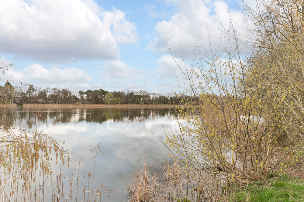 Blick auf einen ruhigen See mit Bäumen und Sträuchern am Ufer unter bewölktem Himmel.