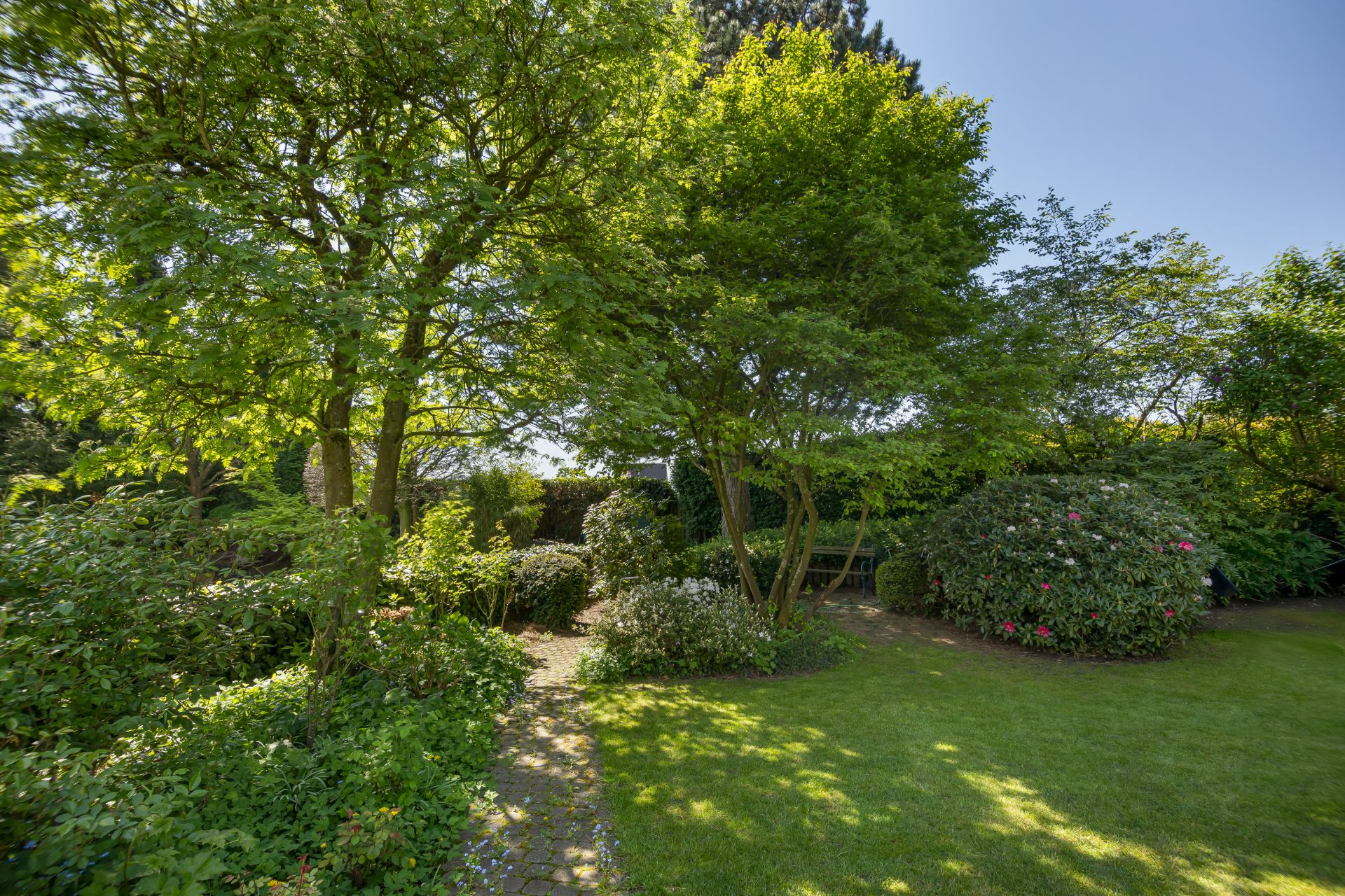 Garten mit grünem Rasen, Bäumen, blühenden Büschen und einem schmalen gepflasterten Weg.