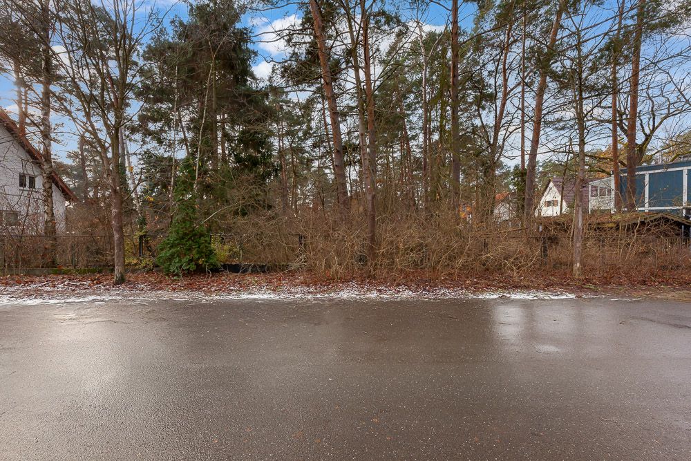 Nasse Straße vor dicht bewachsenem Waldrand mit vereinzelten Häusern im Hintergrund.
