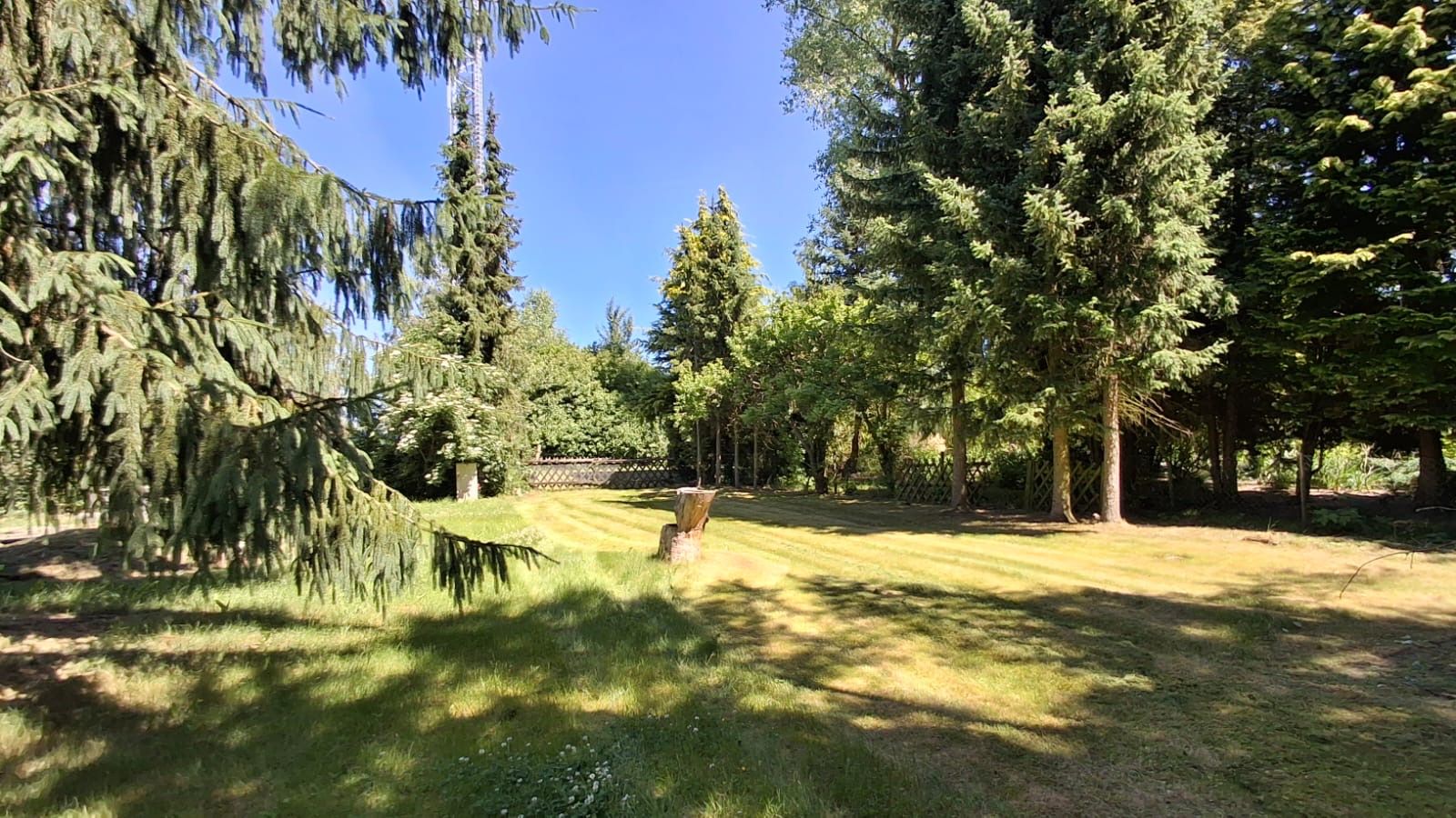 Großer Garten mit Rasenfläche und mehreren hohen Bäumen im Sonnenschein.