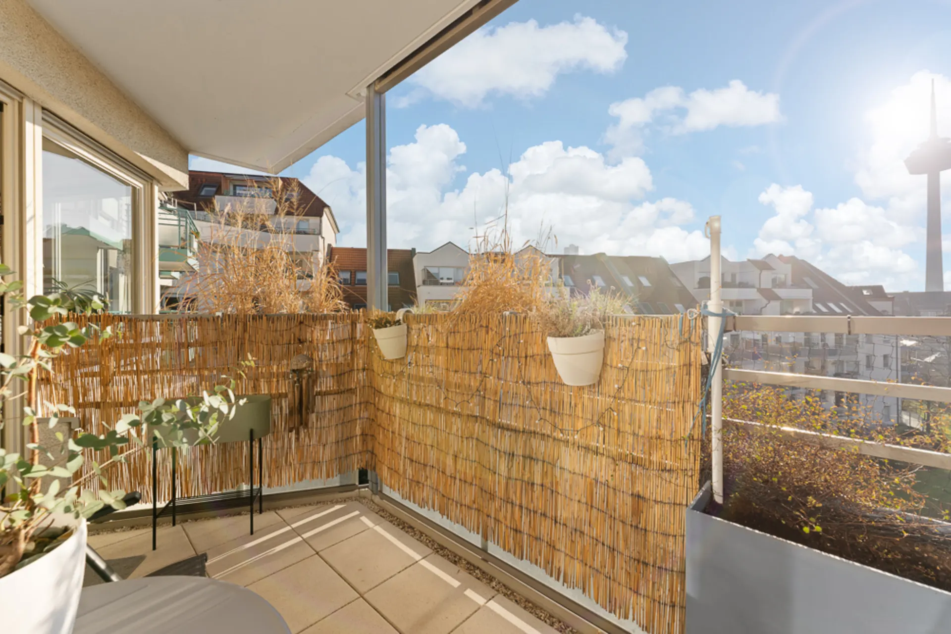 Sonniger Balkon mit Bambus-Sichtschutz, Pflanzen und Blick auf Nachbarhäuser.