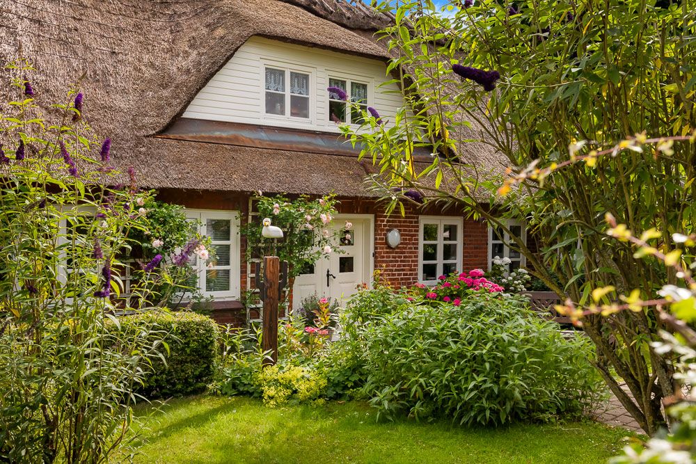 Haus mit Reetdach, weißen Fenstern und blühendem Garten im Vordergrund.