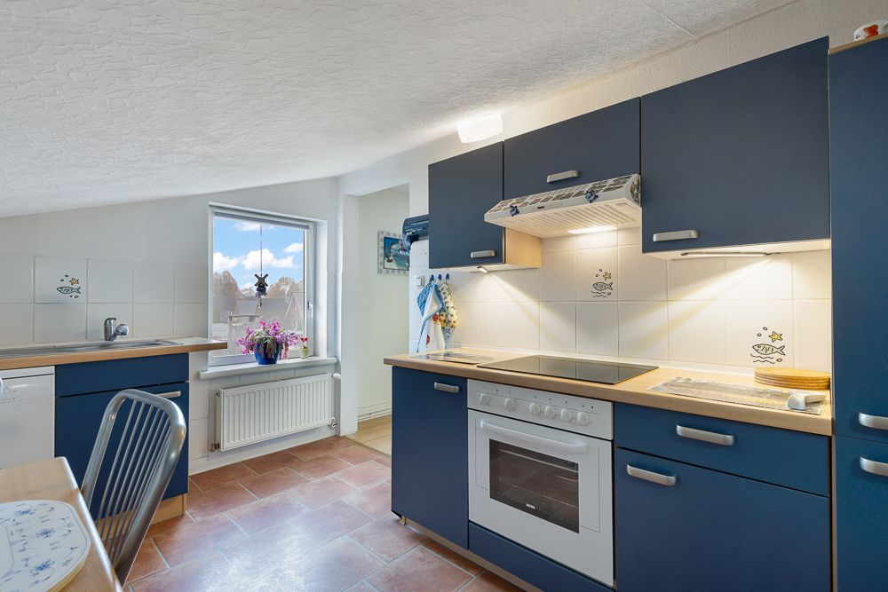 Moderne Küche mit blauen Schränken, Herd, Backofen, Spüle und Fenster mit Blumenvasen.