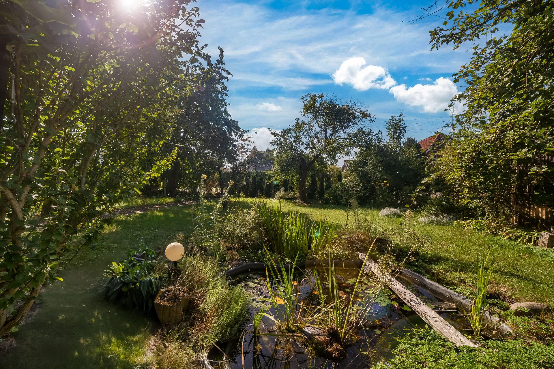 Grüner Garten mit kleinem Teich, Bäumen und Sträuchern an einem sonnigen Tag.