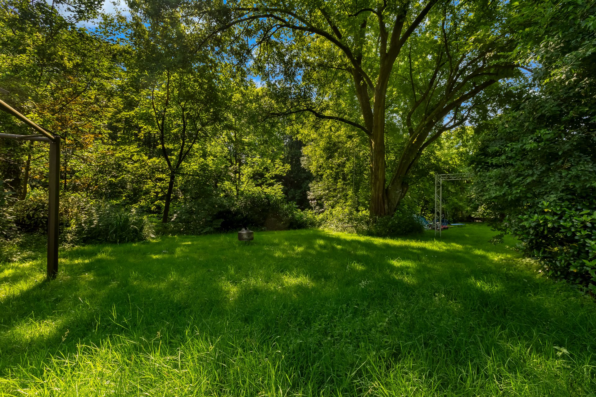 Grüner Garten mit Rasenfläche, großen Bäumen und dichter Bepflanzung im Sonnenlicht.
