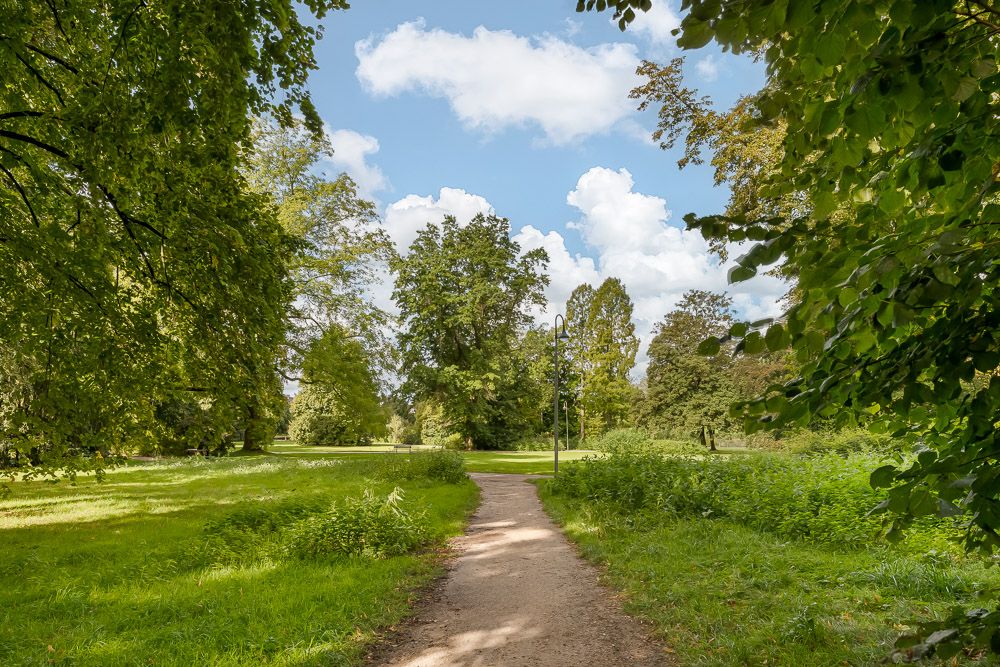 Ein schmaler Weg führt durch einen grünen Park mit vielen Bäumen unter blauem Himmel.