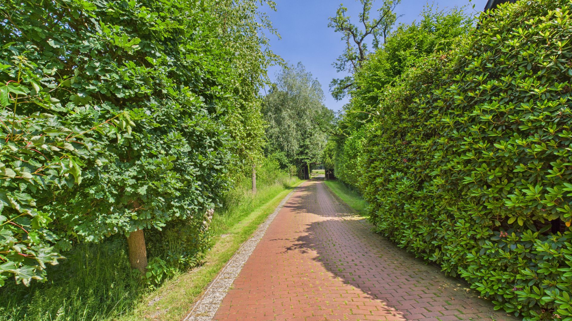 Roter gepflasterter Weg mit grünen Bäumen und Hecken rechts und links.