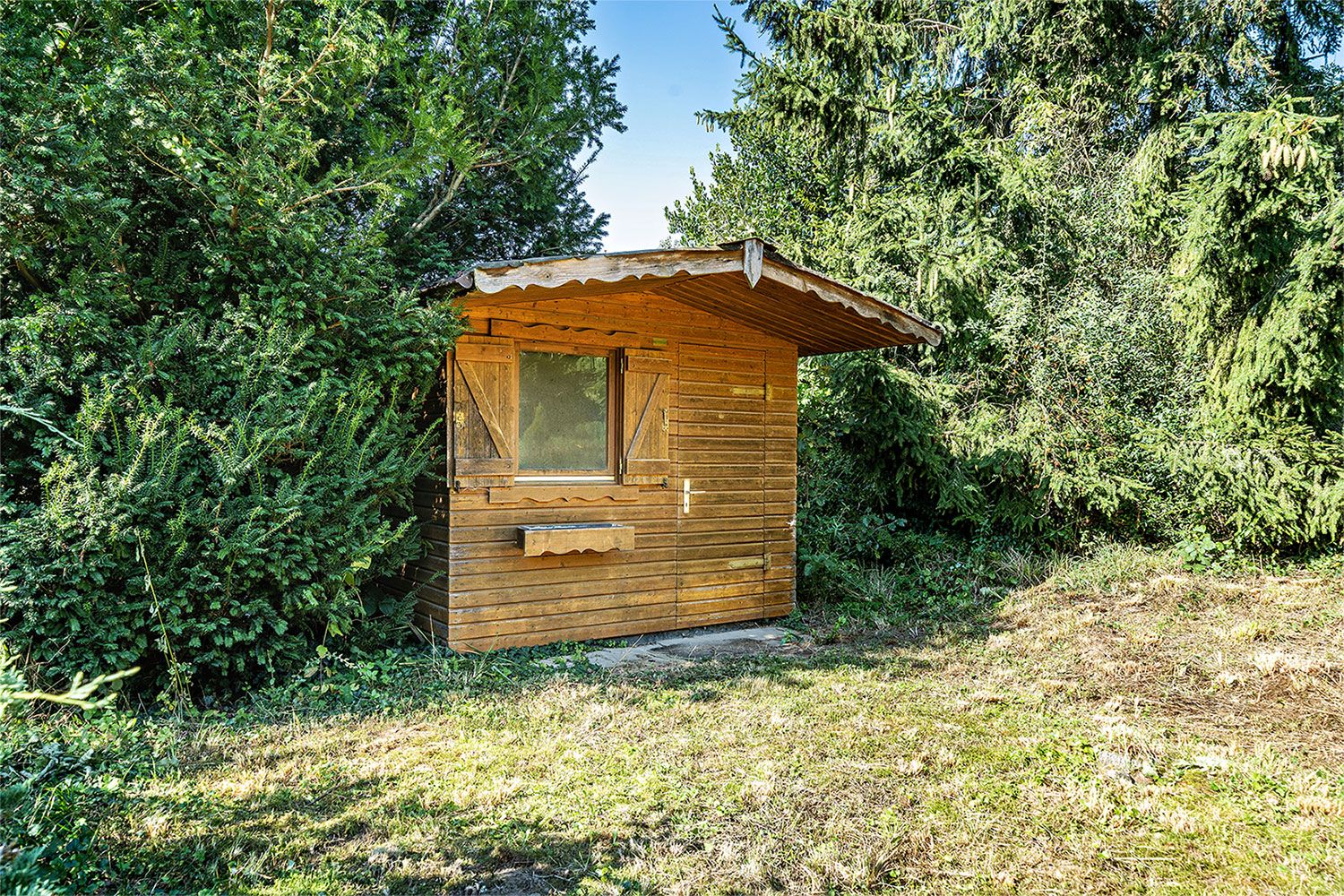 Ein kleines Holzhaus steht im Garten, umgeben von Büschen und Bäumen.