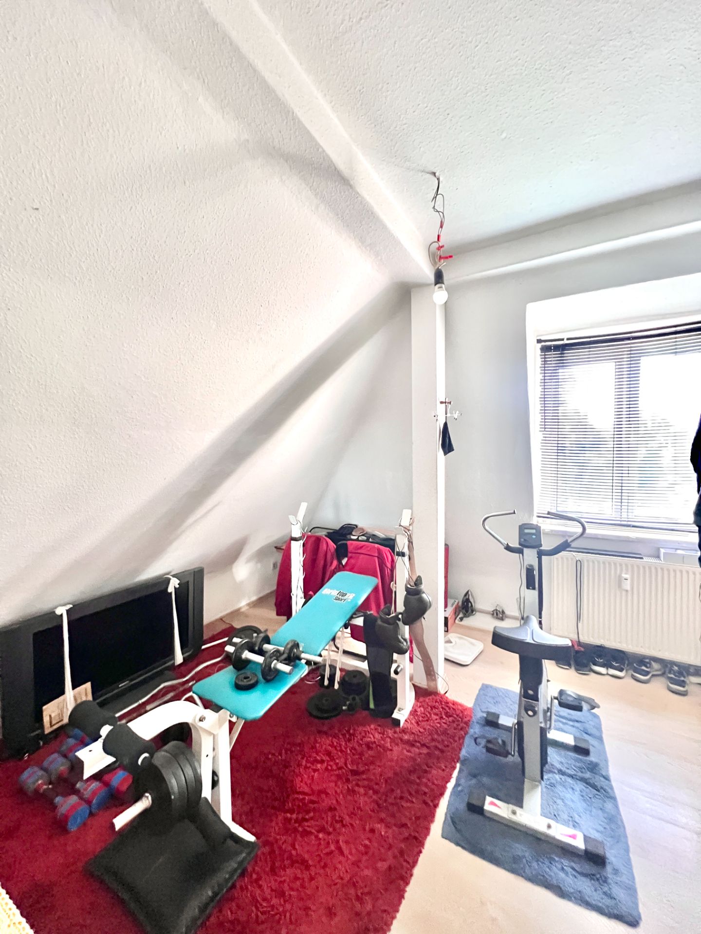 Kleines Zimmer mit Fitnessgeräten, Hantelbank, Heimtrainer und Hanteln auf farbigen Teppichen.