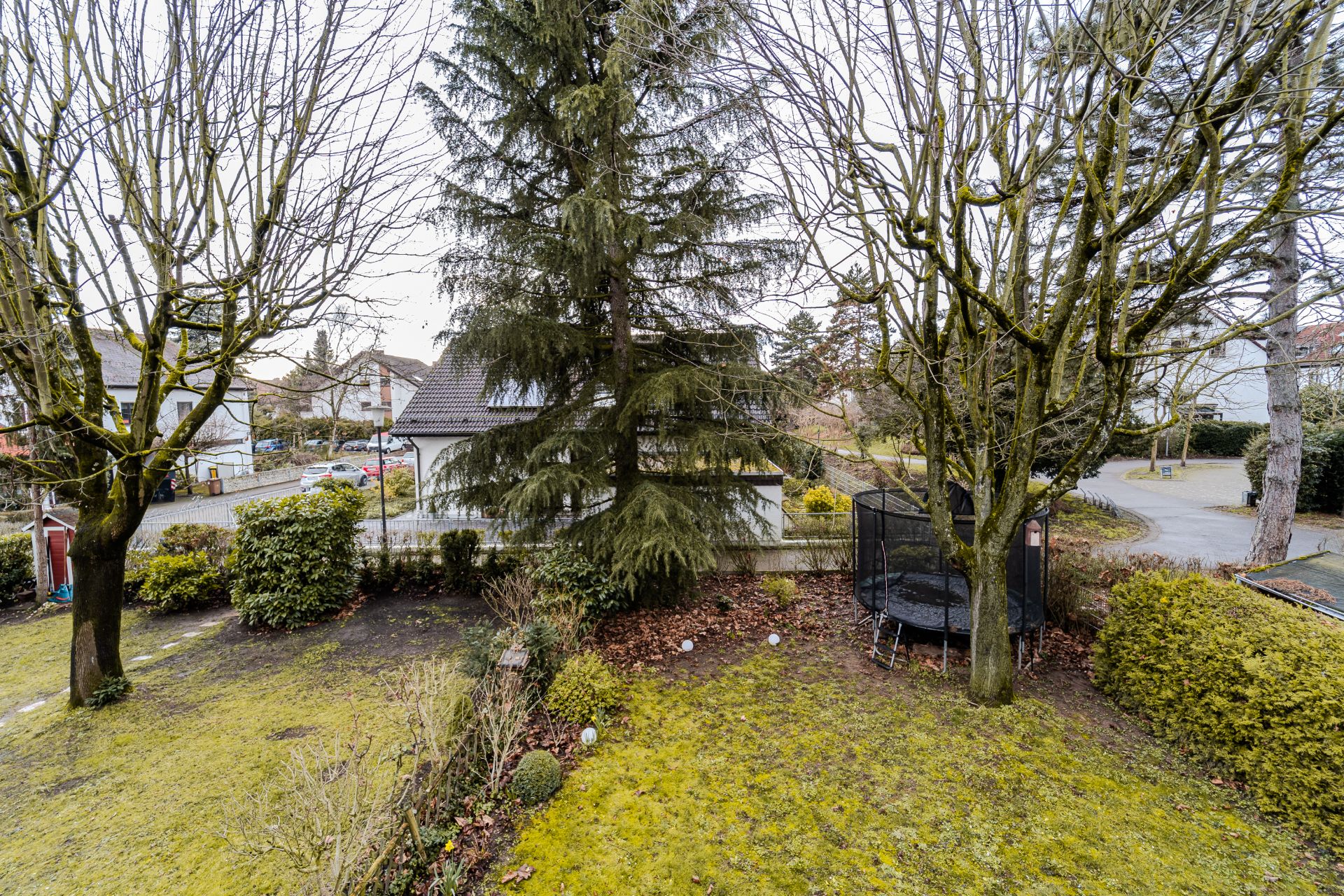 Garten mit Rasen, Bäumen, Sträuchern und einem runden Trampolin neben dem Baum.