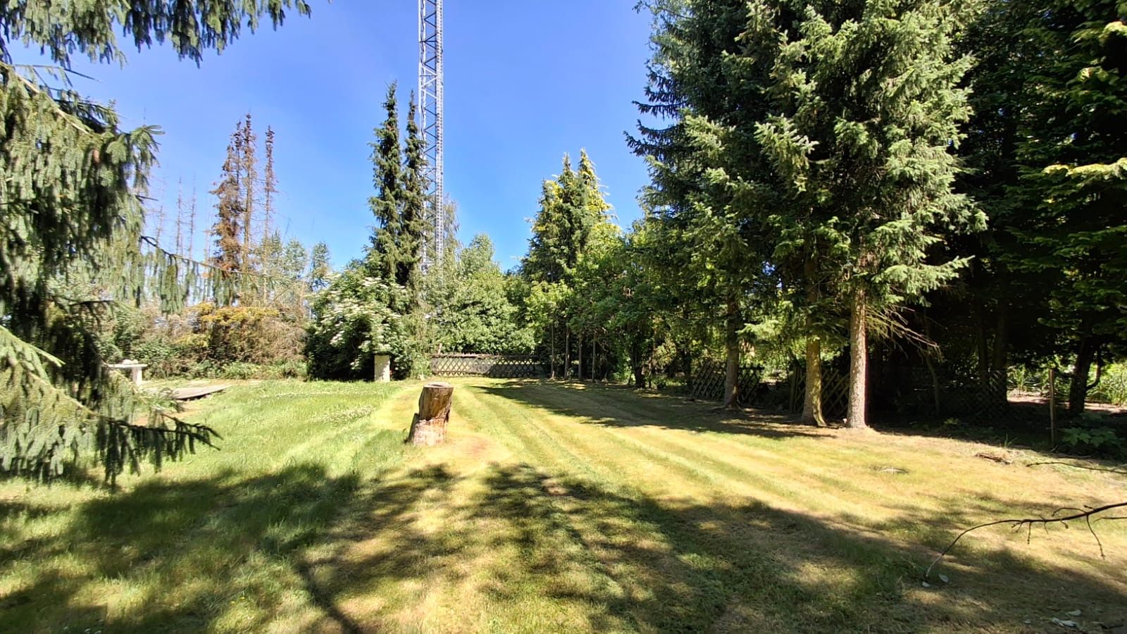 Großer Garten mit gemähtem Rasen, Baumstumpf und vielen hohen Bäumen an den Seiten.