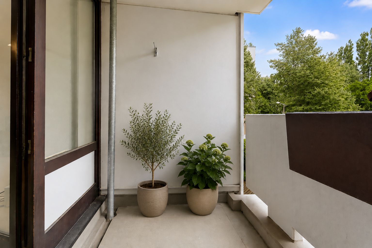 Balkon mit zwei großen Pflanzen in Töpfen, Blick auf grüne Bäume.