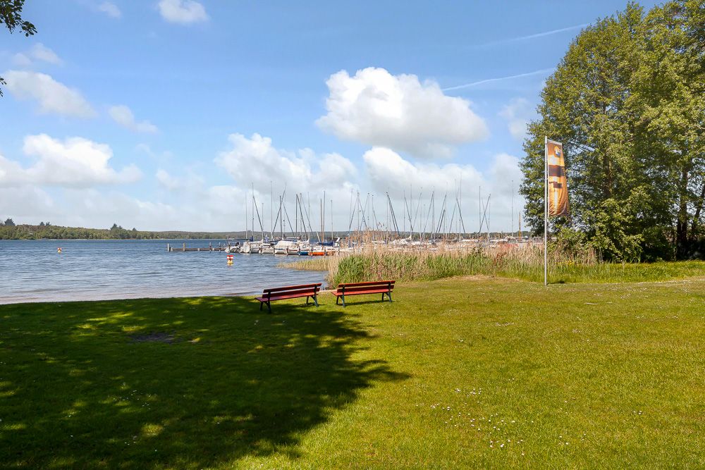 Grüne Wiese mit zwei Bänken am Seeufer, Segelboote und Bäume im Hintergrund.