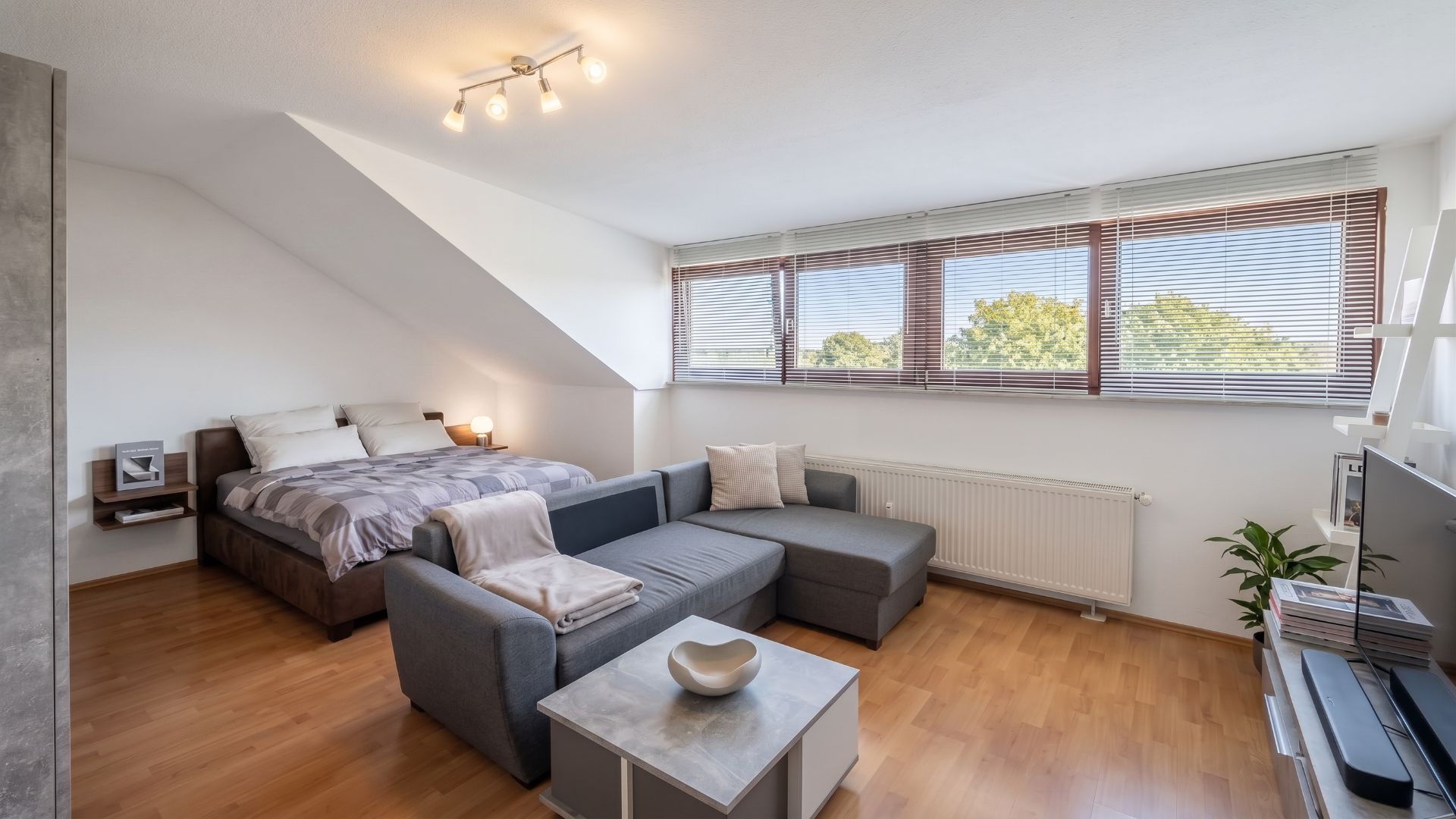 Helles Wohnzimmer mit Ecksofa, Bett, großen Fenstern und Holzboden.